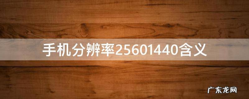 手机分辨率25601440含义