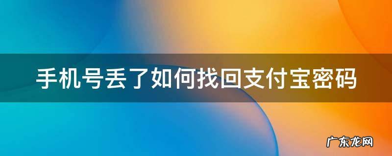 手机号丢了如何找回支付宝密码