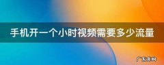 手机开一个小时视频需要多少流量