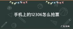 手机上的12306怎么抢票