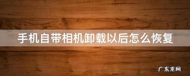 手机自带相机卸载以后怎么恢复