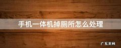 手机一体机掉厕所怎么处理