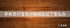 手机支付宝支付密码忘记了怎么办