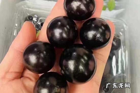 蓝莓放冰箱10天还可以吃吗 蓝莓放冰箱10天会发霉坏掉吗