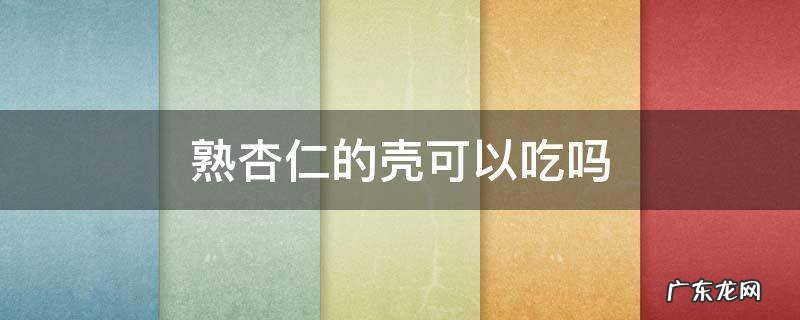 熟杏仁的壳可以吃吗