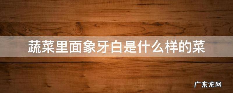 蔬菜里面象牙白是什么样的菜
