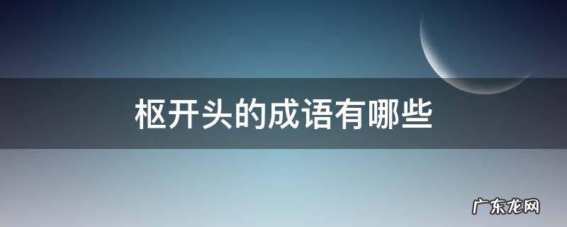 枢开头的成语有哪些