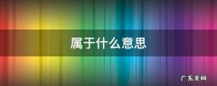 属于什么意思