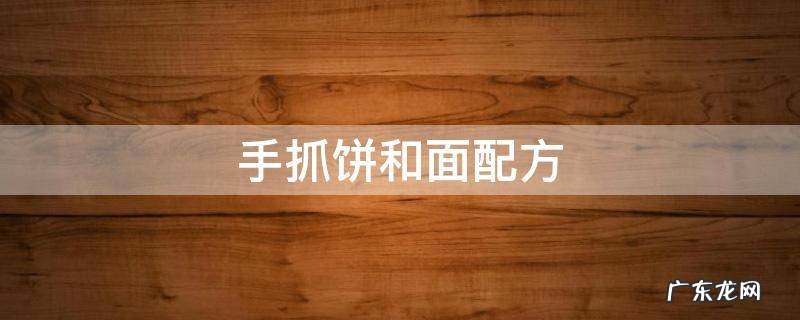 手抓饼和面配方