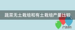 蔬菜无土栽培和有土栽培产量比较