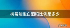 树莓能泡白酒吗比例是多少