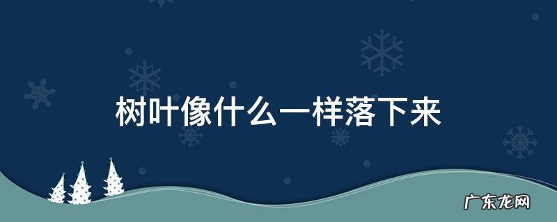 树叶像什么一样落下来