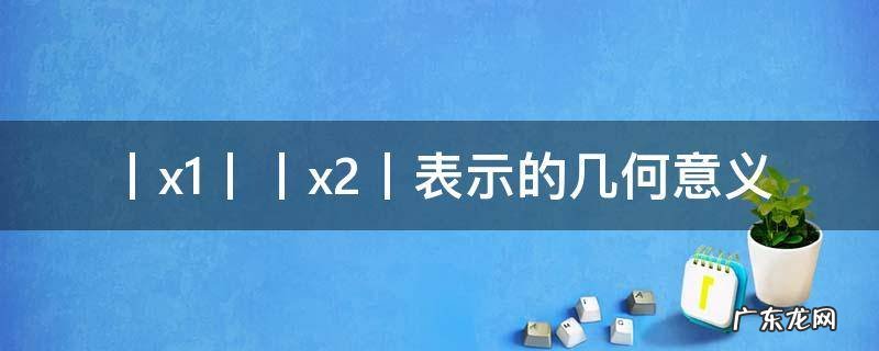 丨x1丨丨x2丨表示的几何意义