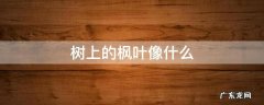 树上的枫叶像什么