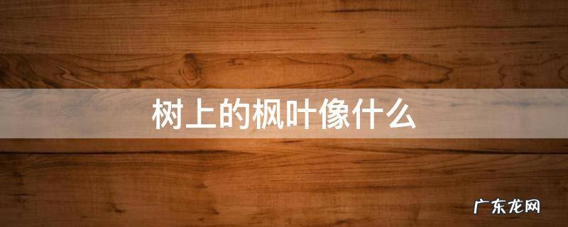 树上的枫叶像什么