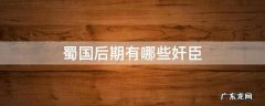 蜀国后期有哪些奸臣
