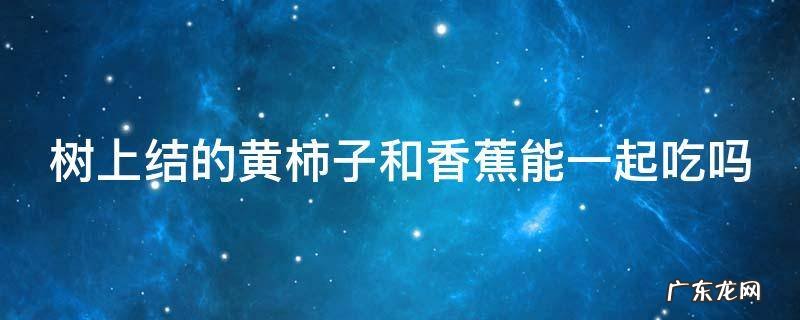 树上结的黄柿子和香蕉能一起吃吗