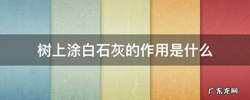 树上涂白石灰的作用是什么
