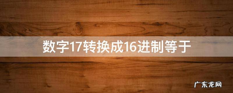 数字17转换成16进制等于