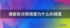 谁能告诉我锦里为什么叫锦里