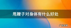 甩鞭子对身体有什么好处