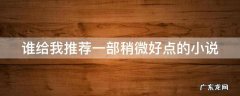 谁给我推荐一部稍微好点的小说