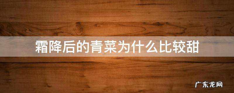 霜降后的青菜为什么比较甜