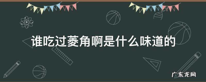 谁吃过菱角啊是什么味道的