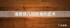 谁教我几招防身的武术