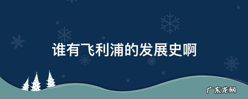 谁有飞利浦的发展史啊