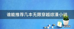 谁能推荐几本无限穿越综漫小说