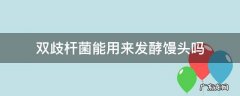 双歧杆菌能用来发酵馒头吗