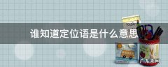 谁知道定位语是什么意思