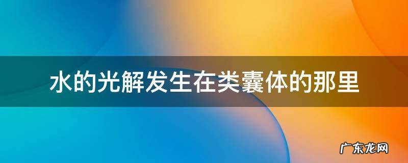 水的光解发生在类囊体的那里
