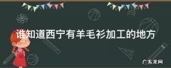 谁知道西宁有羊毛衫加工的地方