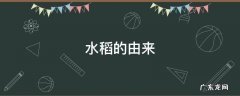 水稻的由来