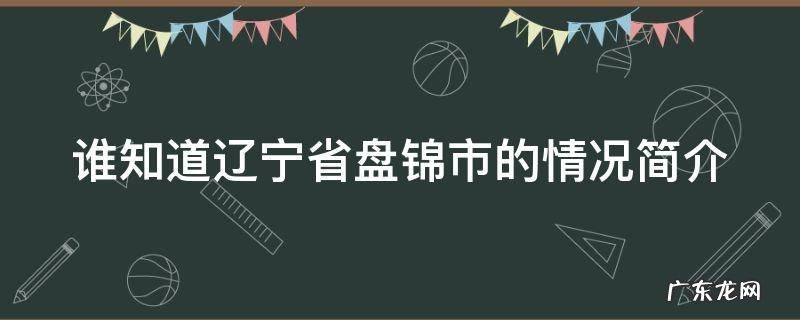 谁知道辽宁省盘锦市的情况简介