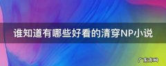 谁知道有哪些好看的清穿NP小说