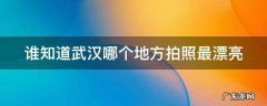谁知道武汉哪个地方拍照最漂亮
