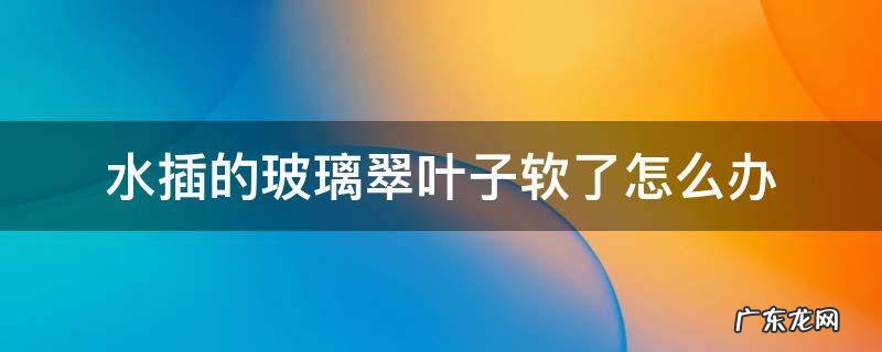 水插的玻璃翠叶子软了怎么办