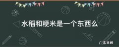 水稻和粳米是一个东西么