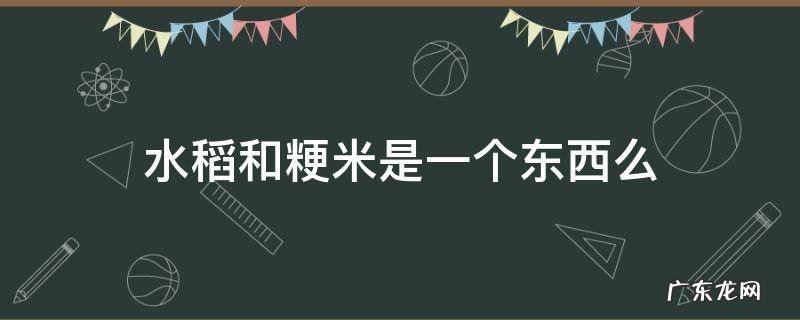 水稻和粳米是一个东西么