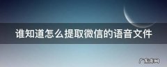 谁知道怎么提取微信的语音文件