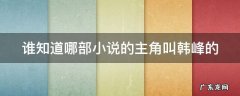 谁知道哪部小说的主角叫韩峰的