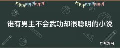 谁有男主不会武功却很聪明的小说