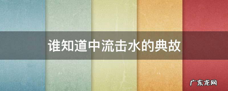 谁知道中流击水的典故