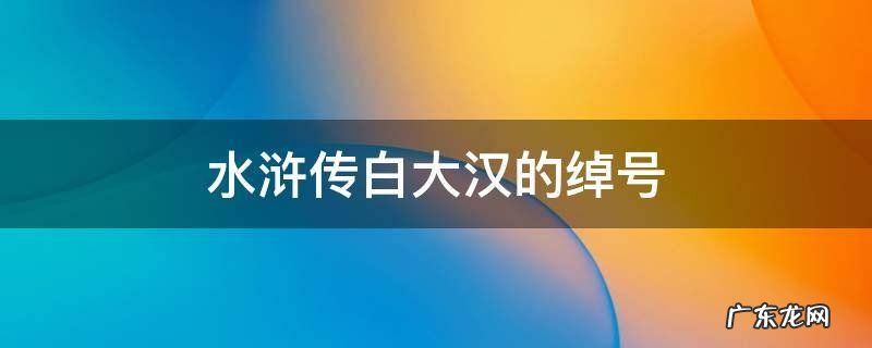 水浒传白大汉的绰号