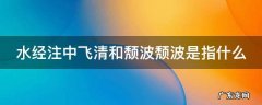 水经注中飞清和颓波颓波是指什么