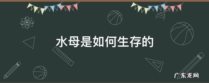 水母是如何生存的