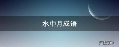 水中月成语